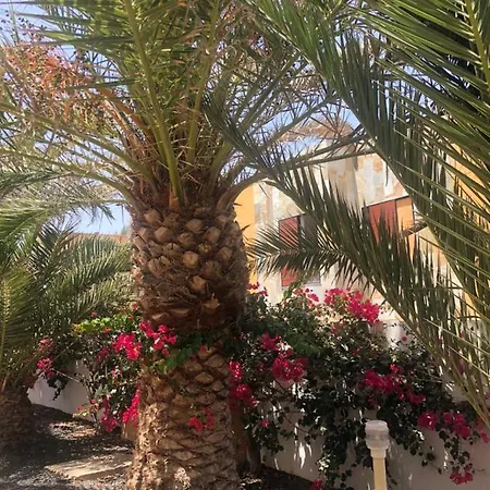 Smile Complex Amaya Fuerteventura