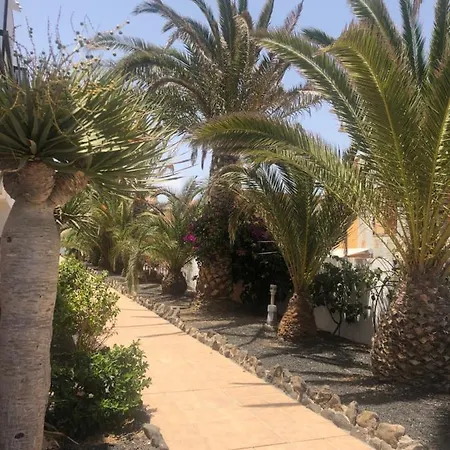 Lägenhet Smile Complex Amaya Fuerteventura Costa De Antigua