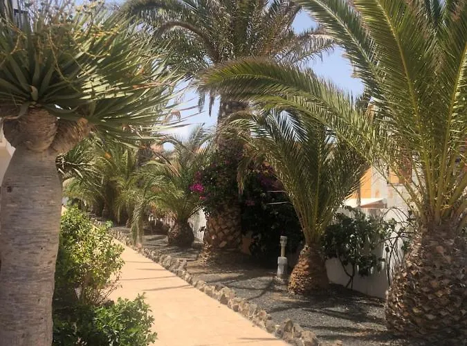 Daire Smile Complex Amaya Fuerteventura Costa De Antigua