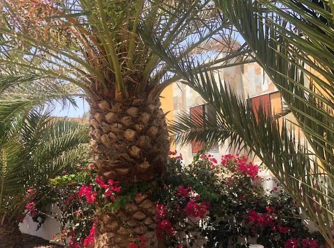 Smile Complex Amaya Fuerteventura